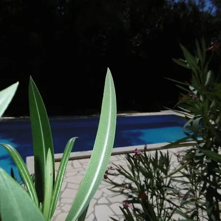 Carina Comfortable 4*